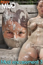 Mud encasement 3